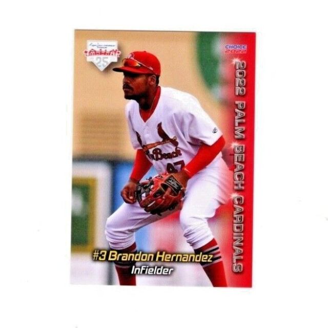 Brandon Hernandez 2022 Palm Beach Cardinals baseball team card Montreal Quebec