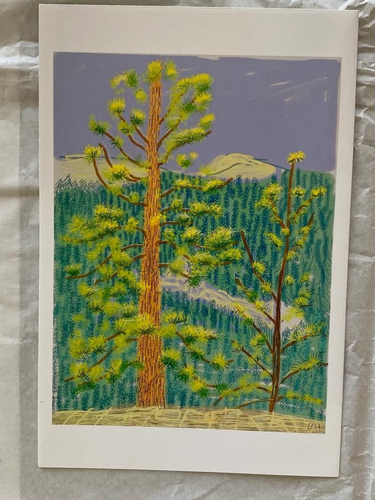 DAVID HOCKNEY "YOSEMITE SUITE" Exhibition Brochure Poster iPad Painting Drawing! - Picture 4 of 8