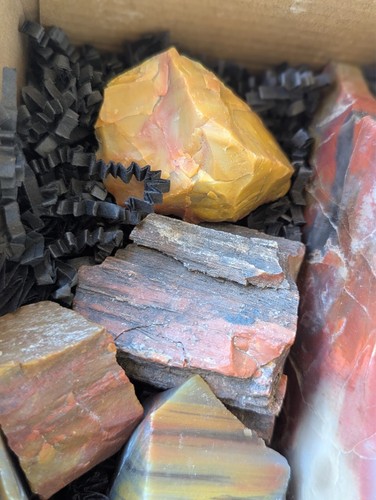 Collectible Box 1 : Arizona Rainbow Petrified Wood- Select color, textures & mix - Picture 5 of 6