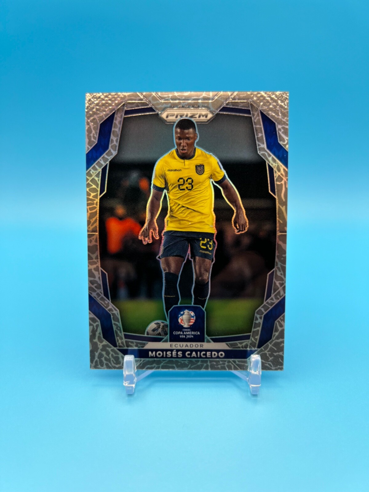 Moises Caicedo Elephant 🐘 Prizm SSP 2024 Panini Prizm Copa America #65 Ecuador