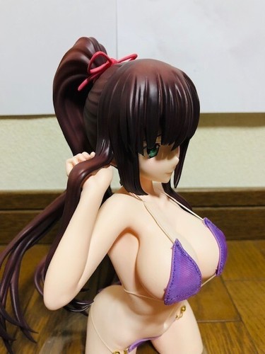 Sayaka Kirasaka with cloth swimsuit 1/5 PMMA Figure Strike the Blood From Japan - Picture 4 of 7