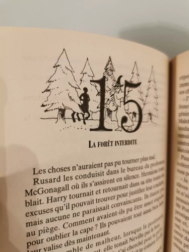 **Harry Potter Philosopher's Stone French 1st Edition Emily Walcker** - Picture 9 of 11