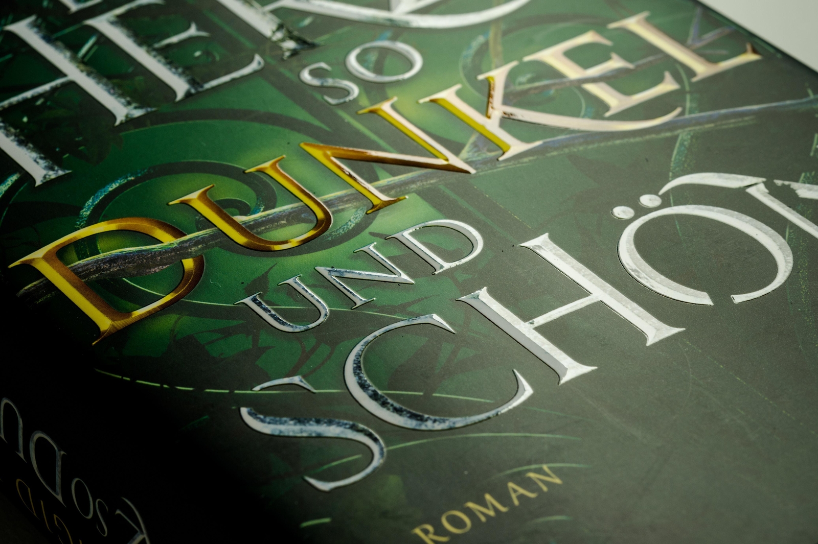 Thumbnail - Ein Herz So Dunkel Und Schön | Roman | Brigid Kemmerer | Buch |