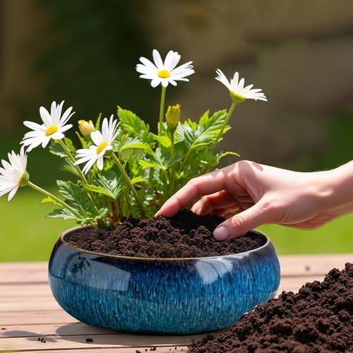 Bowl Planter Bowls For In Water Indoors Bonsai Bowl Flower Ceramic Planters For - Picture 7 of 18