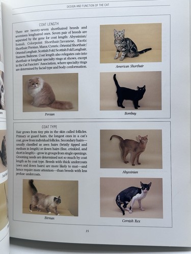 The Complete Cat Book Vintage Hardcover  1991 First Edition - Picture 8 of 15