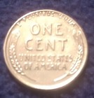 Picture 5 of 19