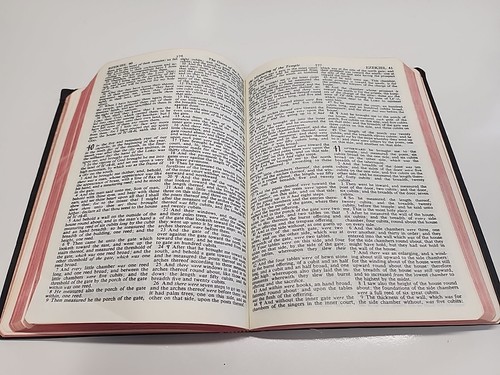 HOLY BIBLE Red Letter Edition King James Version WORLD Dictionary Black Bonded - Bild 13 von 20