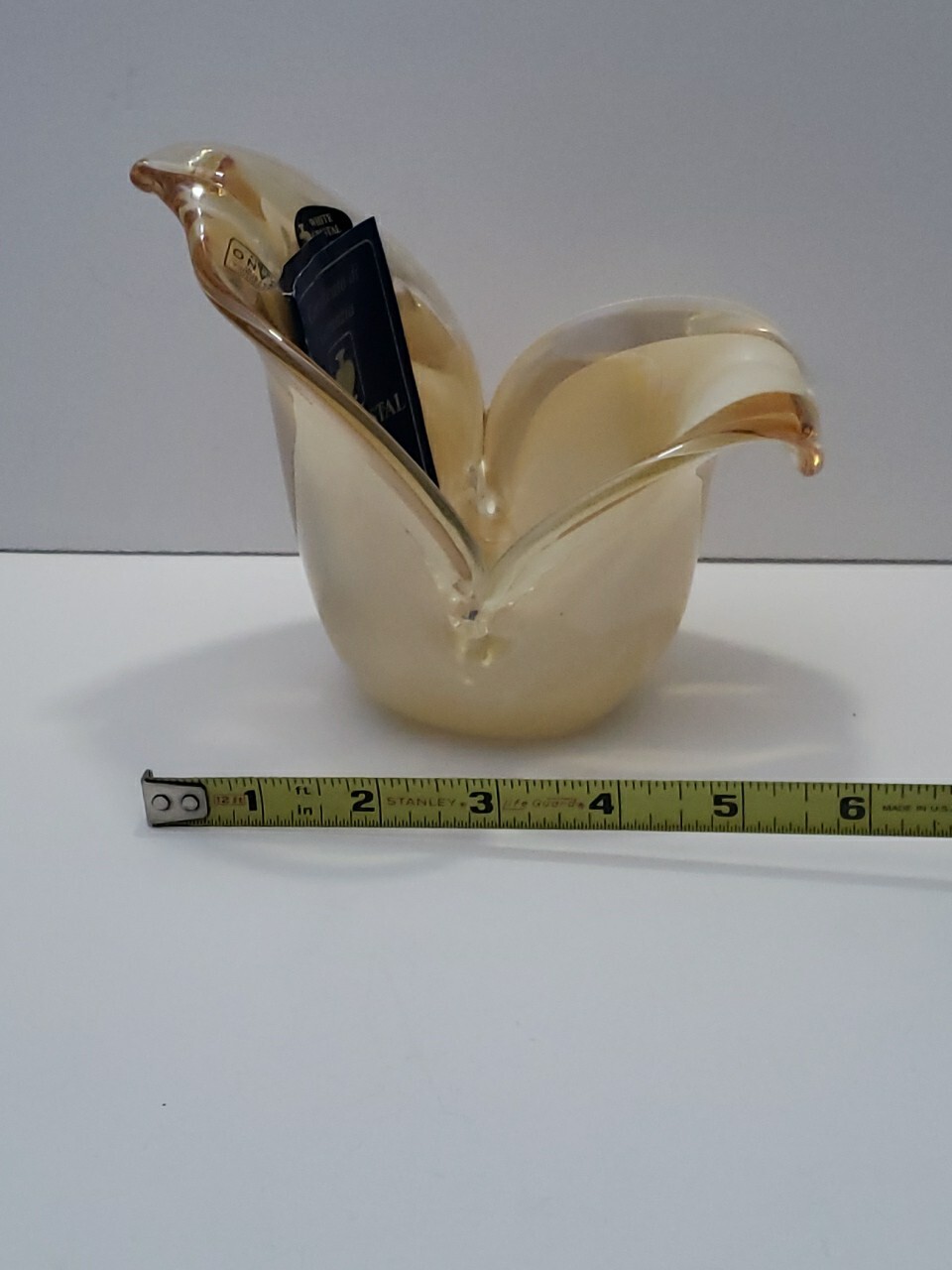 Picture 4 of 12