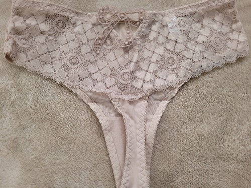 Womens Briefs Lace Lingerie Underwear Panties Thongs Bow - Picture 9 of 19