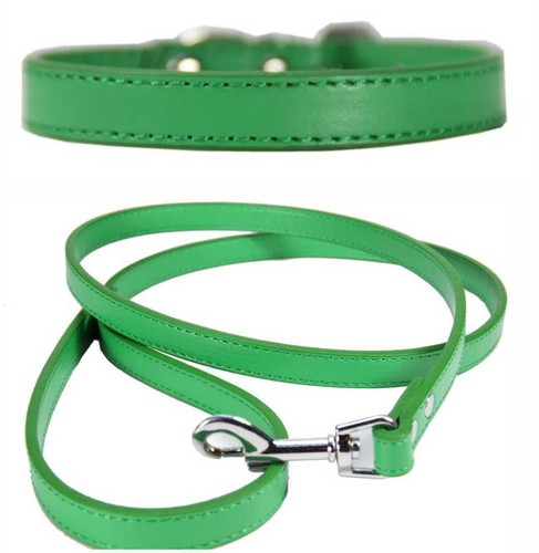 Vibrant Leather Dog Collar & Lead Combo Set for Puppy, Dogs Small Medium & Large - Picture 19 of 29