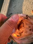 Foto 4 di 8