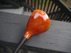 Picture 18 of 23