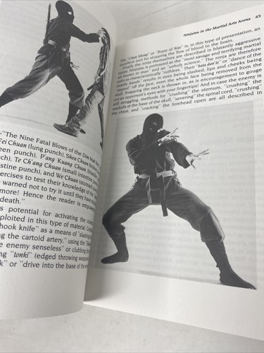 Mind of the Ninja: Exploring the Inner Power by Peterson, Kirtland C. - Picture 13 of 15