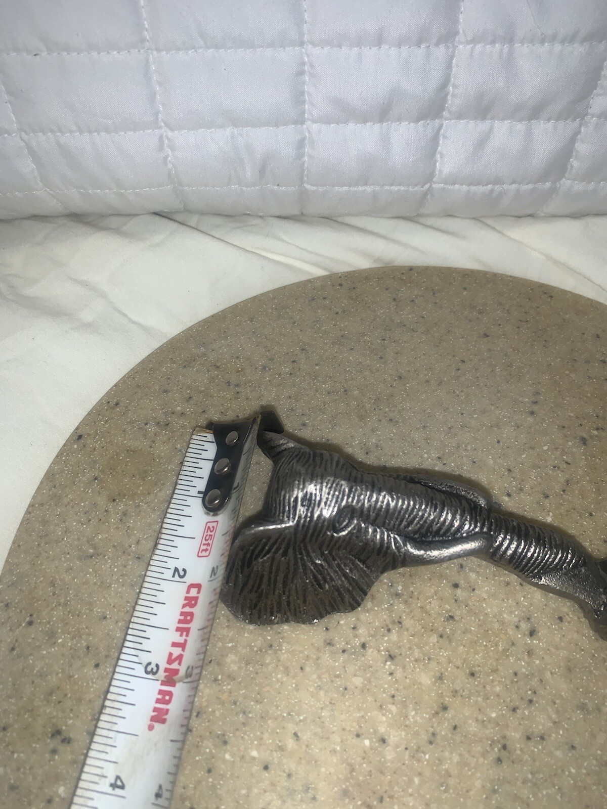 Picture 12 of 13