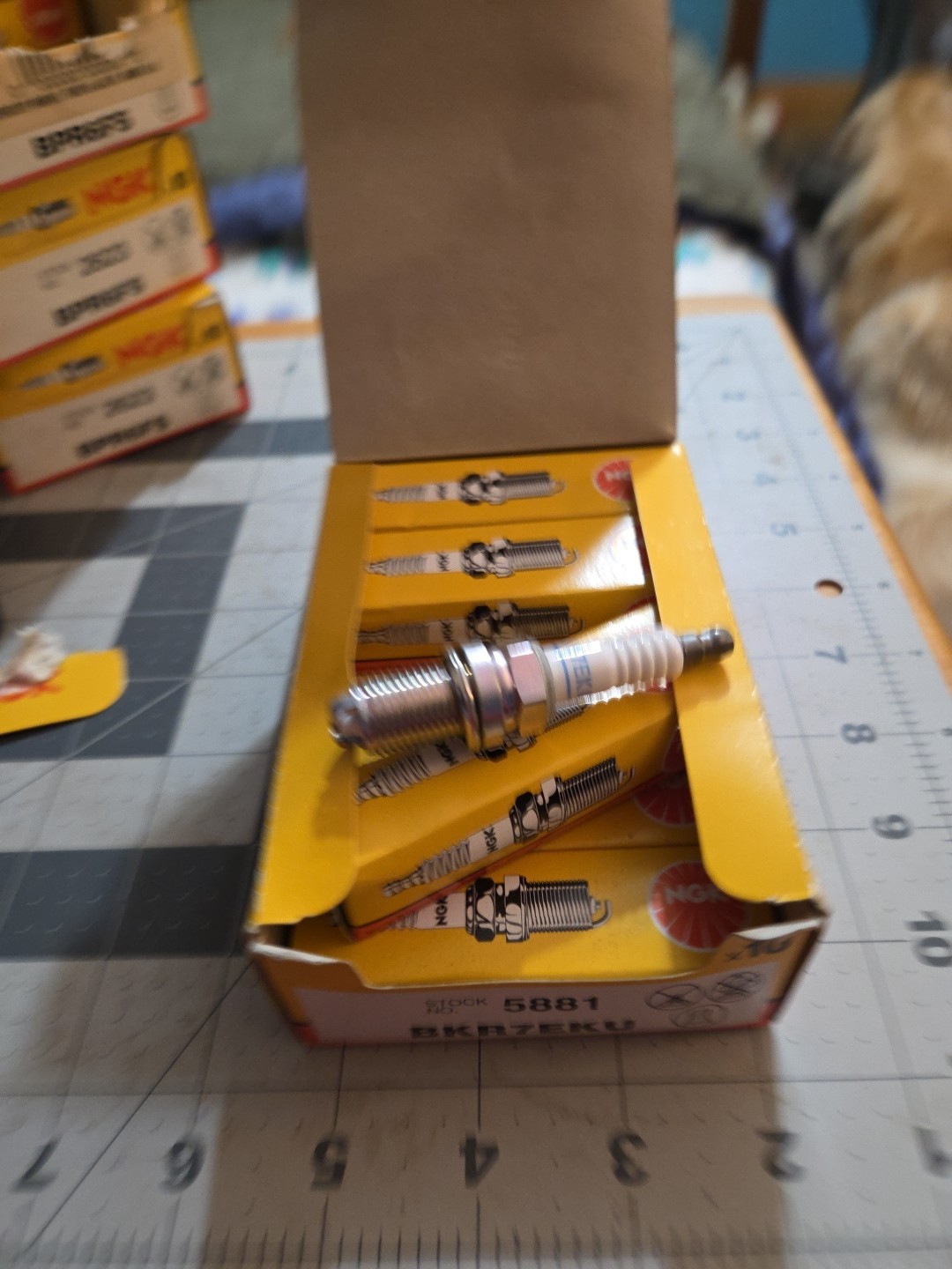 8 New In Box NGK  Spark Plugs 5881 BKR7EKU