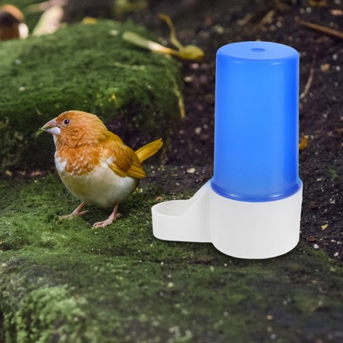 3 Pcs Automatic Bird Watering Device Pet Dispenser Waterer Feeder - 第 3/12 張圖片