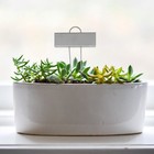 10 Stück strapazierfähiges Edelstahl-Werksschild Metalleinsatzkarte Bonsai