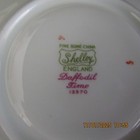 Foto 9 di 9