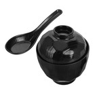  Traditional Japanese Style Bowl with Matching Lids Unbreakable Plastic Soup