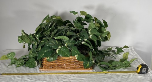 Indoor Faux Artificial Ivy Plant In Wicker Basket  - Bild 9 von 11