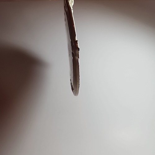 Vaca - Imagen 6 de 17