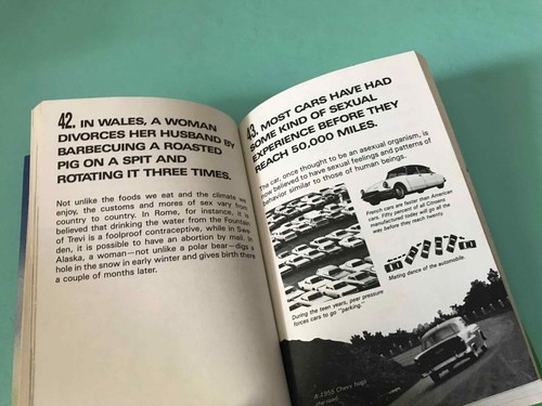 How to Regain Your Virginity Patricia Marx Charlotte Stuart book - Picture 10 of 12