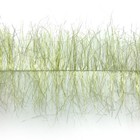 Bild 5 von 17