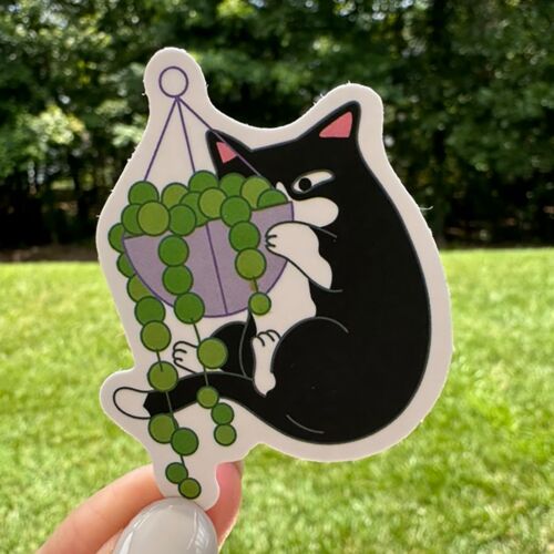 50 Cute CATS and Plants stickers, Kitten, animals, Cute cats animals decals - Picture 4 of 10