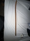 Foto 5 di 7