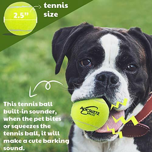ADCSUITZ Dog Tennis Ball - 12 Pack 2.5" Squeak Interactive Toy Assorted Sizes - Picture 16 of 21