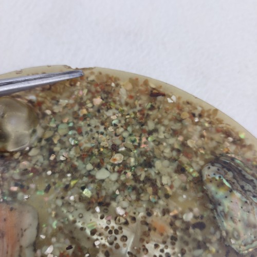 Vintage 1960s 6.5 Inch Green Lucite Abalone Shell Trivet Hot Plate Made in USA - Picture 9 of 11