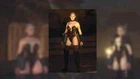 Dragon's Dogma 2 - Charming Corset Fully Upgraded +4 (Strongest armor) PS5 Only