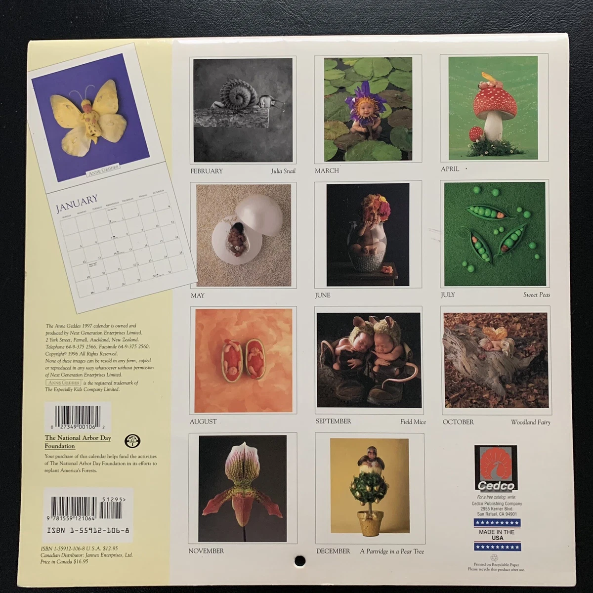 Ann Geddes elaborately-staged infant photographs 1997 calendar  9781559121064 | eBay