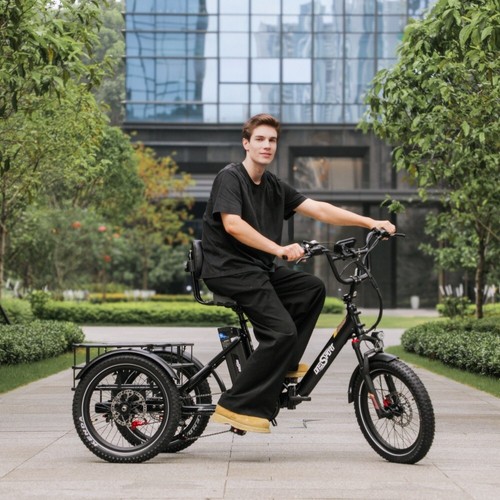 ONESPORT OT30PRO Elektro Dreirad 20 Zoll E-Bike 48V 18AH Elektrofahrrad Tricycle