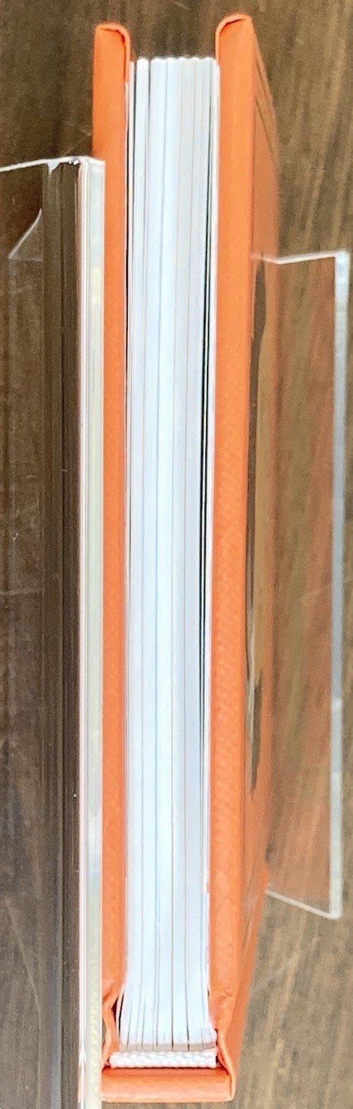 Picture 6 of 6