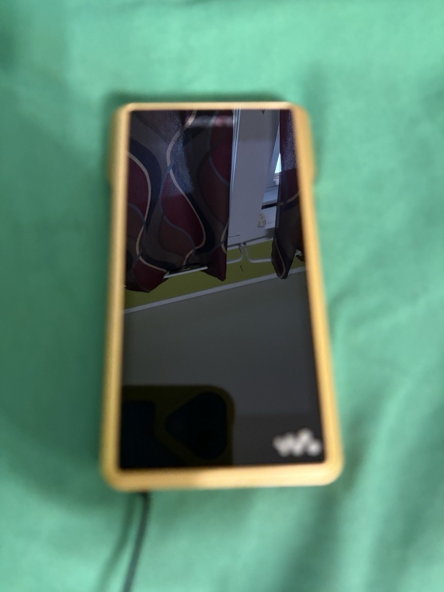 SONY NW-WM1Z 256GB デジタルオーディオプレーヤー Sony Signature Series WM1Z Walkman 256GB MP3 Player for sale