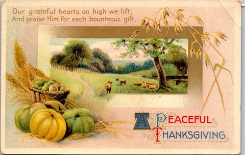 Antike AK Erntedank Friedliches Lob Dankbare Herzen Schafwiese 1913