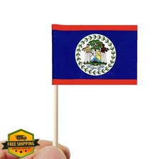 Stidsds 100pc Belize Flag Toothpick Flags, Mini Cupcake Toppers