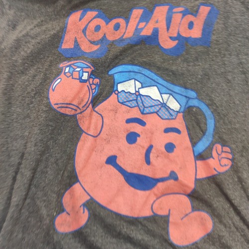 Kool Aid Boys T-Shirt 2XL (16) Grey Logo Graphic Short Sleeve Kids Tee Kraft - Picture 10 of 22