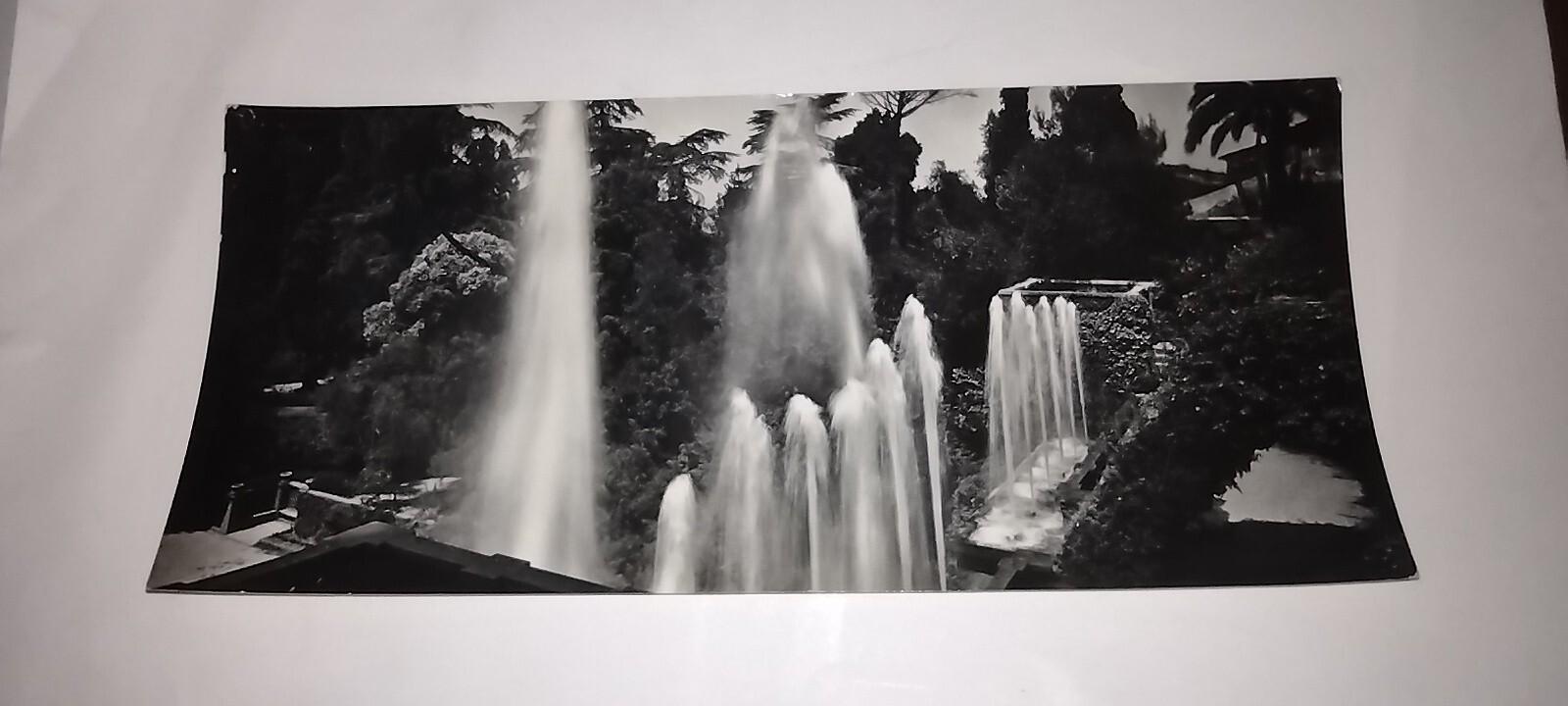 Picture 7 of 12