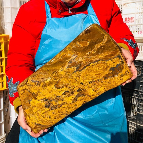 22.22LB Large Natural Tiger's Eye Quartz Crystal Rough Mineral Specimen Healing - Picture 19 of 20