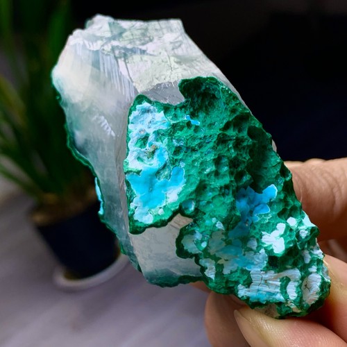146GNatural malachite with gypsum Symbiotic mineral specimen - 第 14/24 張圖片