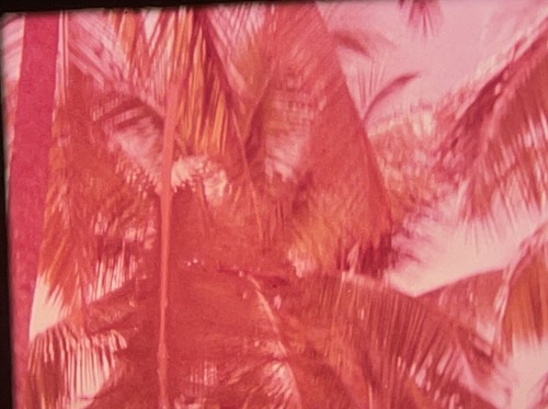 16mm Sound Film: 'World Cultures & Youth: Slima the Dhowmaker, Tanzania (1978) - Picture 9 of 24