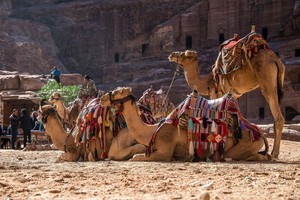 GoPetra-com-Premium-brand-able-domain-name-only-for-sale-Petra-Jordan