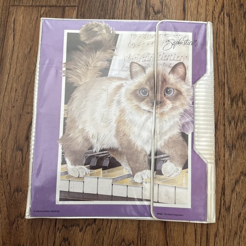 Lot Of 2 Vintage Mead Sophisticats Ring Binder Trapper Keeper - Picture 2 of 16