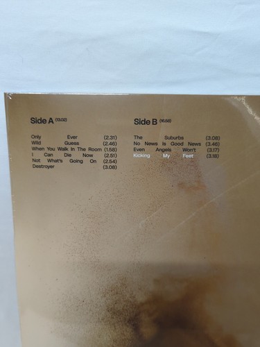 [SIGNED] [NEW] Ruel - Kicking My Feet - Vinyl - RED - Picture 4 of 5