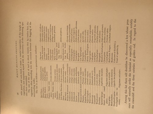 Happy Hunting-Grounds by William Hamilton Gibson Illustrated 1887 Antique Book - Bild 17 von 21