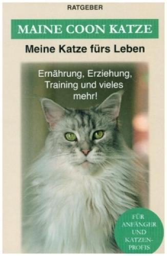 Thumbnail - Maine Coon Katze Erziehung, Ernährung Und Pflege Der Maine Coon 6336