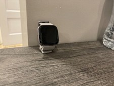 Fitbit Versa 2 Activity Tracker Mist Gray GREAT BUY! no charger, bnd a bit dirty