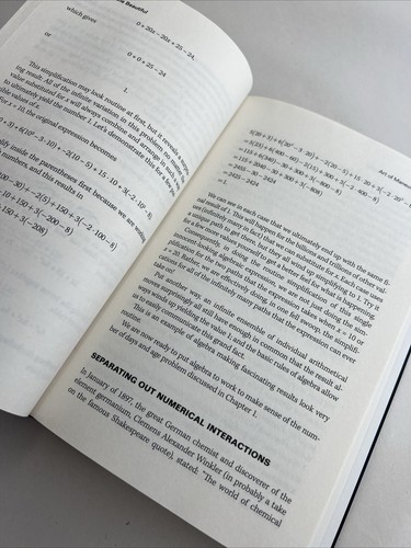 Algebra the Beautiful By G. Arnell Williams Ode to Math's Least Loved Subject - Picture 23 of 24